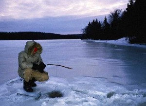 Суточный клев